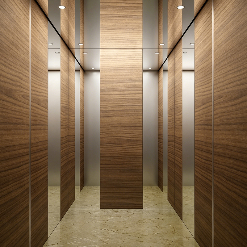 Ascensore per passeggeri della villa interna in cabina moderna impiallacciata in legno